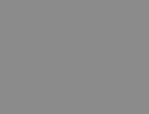 Аэрозольная краска 1580 ярко-серебряная 330мл