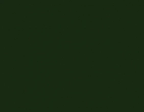 Акриловая краска С364 темно-чёрно-зеленая (новый цвет военной техники)