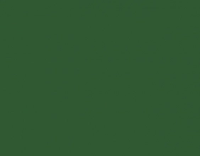 Краска RAL 6005 зеленый мох